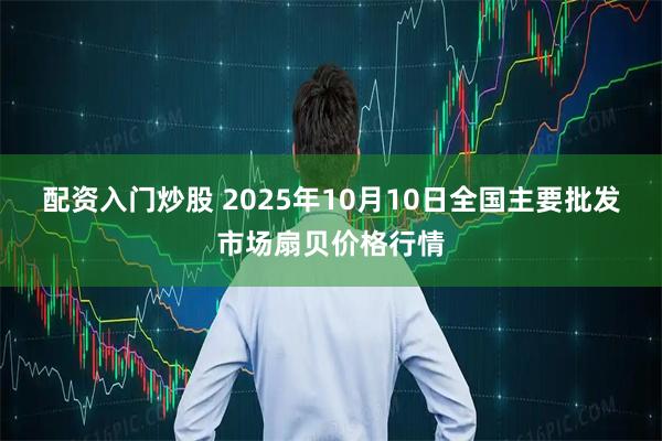 配资入门炒股 2025年10月10日全国主要批发市场扇贝价格行情